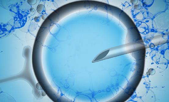 人类辅助生殖行业报告 中国人类辅助生殖行业发展分析