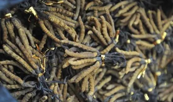 藏药行业发展前景研究：藏医药在“一带一路”建设中具有独特优势