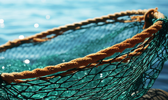 现存渔具相关企业78.5万余家 渔具行业市场基本情况分析