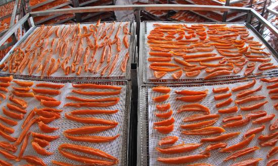 红薯深加工行业发展前景研究及产业链：探索红薯产业发展的乡村振兴之路