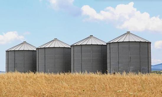 2024粮食仓储行业分析与趋向：粮仓新建和改建迎来新一轮投资周期