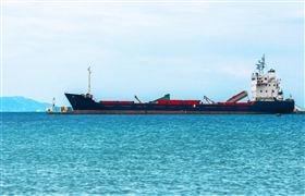 2023中国干散货船行业供需情况分析报告