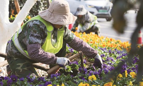 园林养护行业深度研究：园林养护行业机遇与挑战并存
