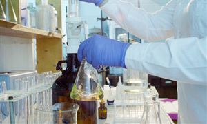 双氧水行业现状分析及投资机遇分析2024