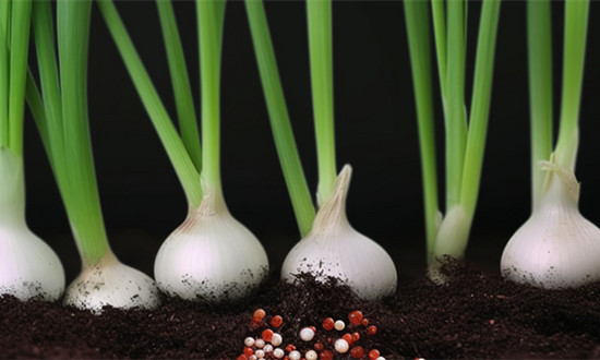 供销社行业发展环境及市场现状研究分析