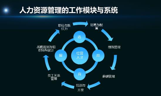 2024人力资源管理系统行业深度调研：AI的应用正推动行业迈向智能化