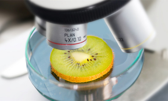 食品安全检测行业发展环境及前景分析 快速检测未来几年将在政府需求的推动下持续增长