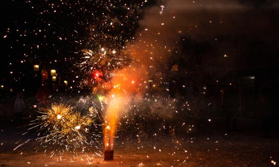 2024烟花爆竹行业现状及未来发展方向分析