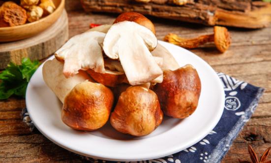 松茸行业市场深度分析及进出口市场分析2024