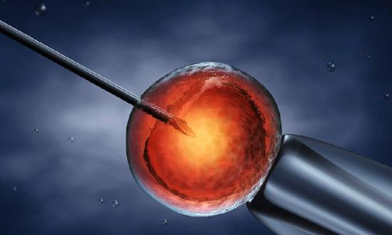 河南拟将部分辅助生殖项目纳入医保：生育力保存也是目前的热点之一