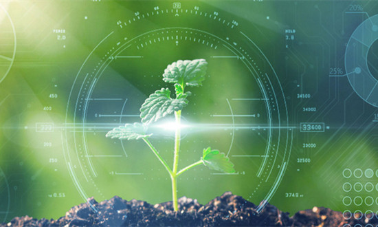 农业大数据行业市场环境分析及未来发展趋势