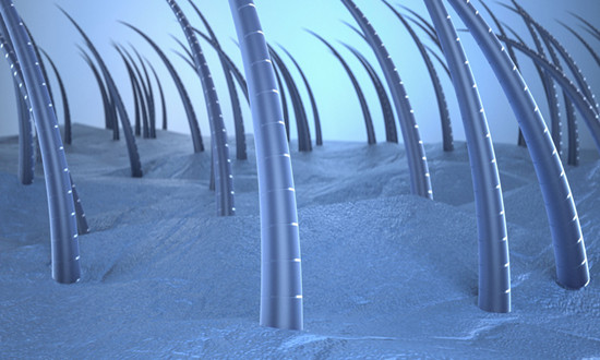 去屑洗发水行业市场需求及未来前景分析