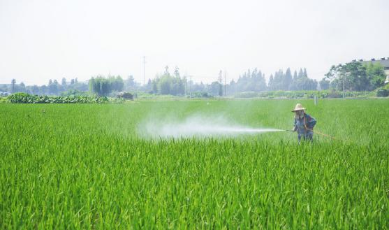 生物农药行业分析：我国生物农药年产量约14万吨 市场潜力较大