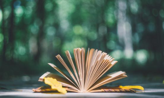 绿色印刷产业链现状及未来发展方向调研2024