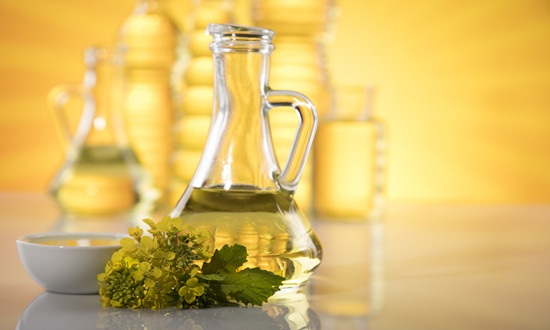 油脂油料行业发展趋势及投资风险分析