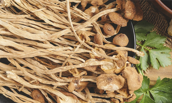 茶树菇行业市场发展分析及未来发展前景