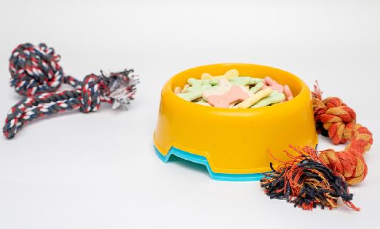 宠物食品行业市场分析2024：宠物消费市场不断扩大 宠物食品消费需求增长明显