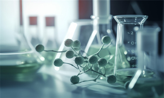 硅钙肥市场规模及需求分析 硅钙肥行业现状及未来发展趋势分析