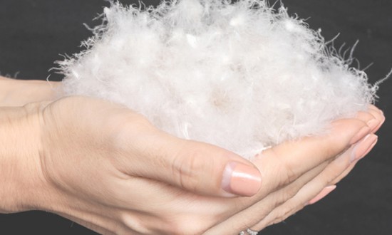 2024年白鹅绒行业的产业链供需布局及发展前景