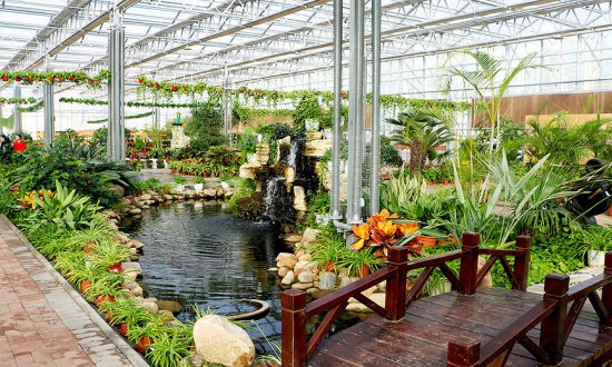 2024年中国农业观光园行业的产业链上下游结构及发展现状