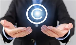 2024年中国商标行业市场深度调研及投资策略报告 最高人民法院披露乌苏诉鸟苏商标侵权