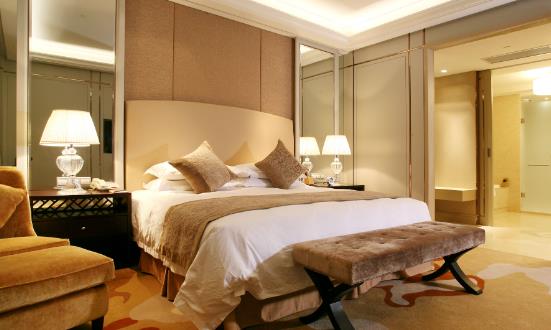 2024五星级酒店行业市场分析及前景研究