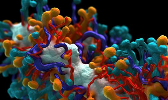 酶制剂产业市场现状与子行业发展分析