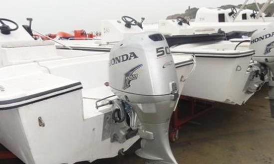 舷外机行业发展前景研究：到2027年市场规模将攀升至4.24亿美元