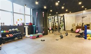 中国训练健身器材行业发展现状及投资前景分析