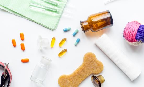 宠物药品行业市场现状分析：国内宠物用药市场以外资为主导