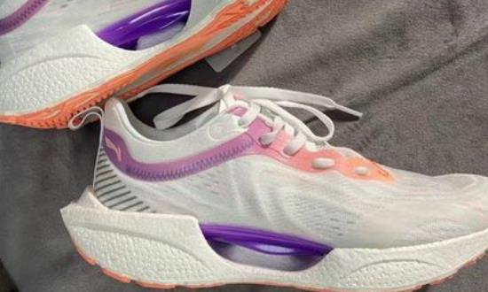 运动鞋行业市场发展现状与前景研究2024