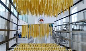 2024年中国大豆深加工行业的产业链上下游结构及投资前景