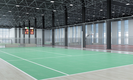 羽毛球馆行业市场调查与发展前景分析