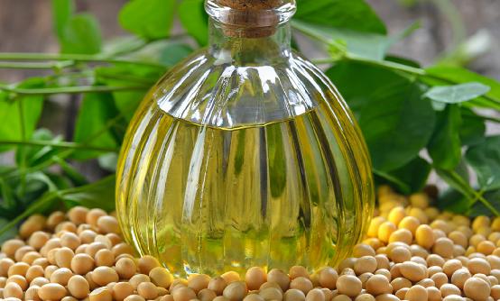 大豆加工行业发展调研2024