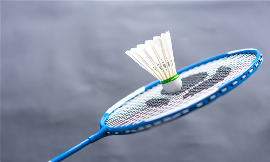 2024年羽毛球行业市场发展现状及未来发展前景分析