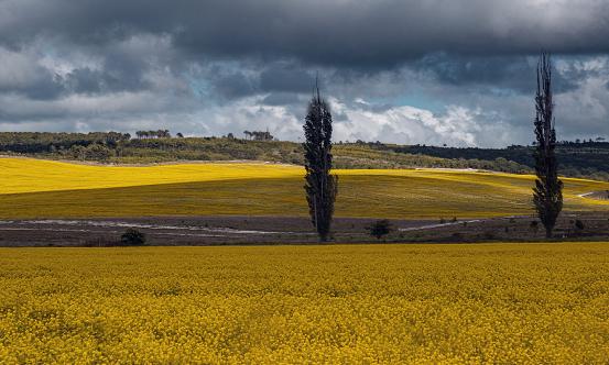 2024年气象信息化产业现状及未来发展趋势分析报告