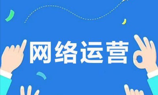 2024年网络运营行业市场调查与发展前景分析