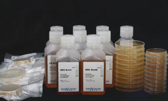 2024生物基材料行业发展分析及投资预测