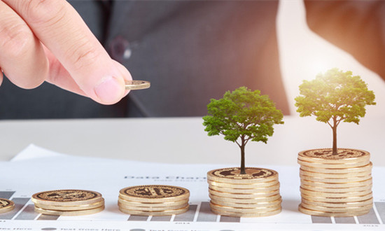 小微金融行业现状调查及发展分析 2024年一季度小微企业融资需求回升向好