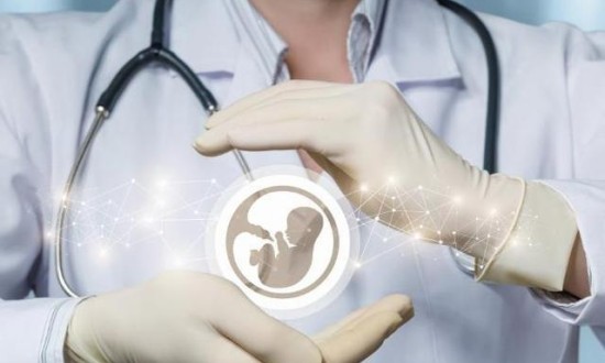 2024年中国人类辅助生殖行业的市场发展现状及投资前景分析