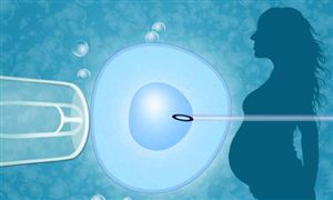 人类辅助生殖行业发展分析与投资前景预测报告 10个省份已将辅助生殖纳入医保
