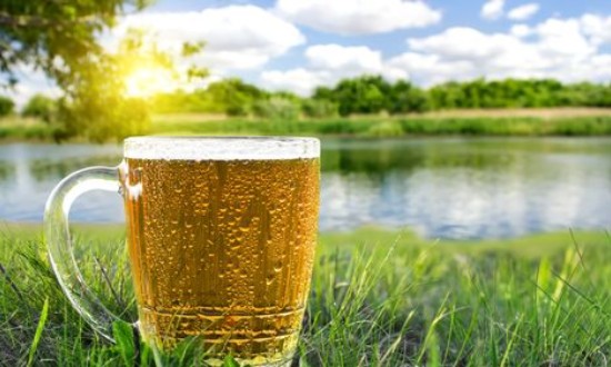 2024年啤酒行业市场调查与发展前景分析