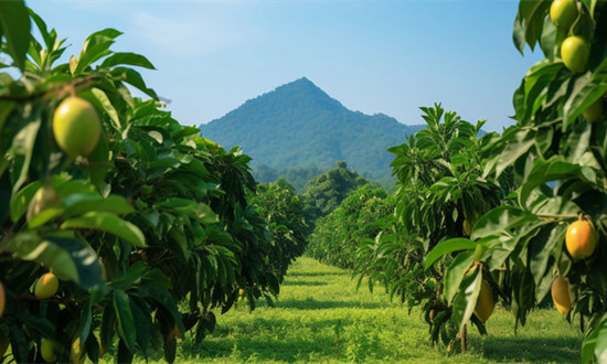农林牧渔业行业现状及前景趋势分析