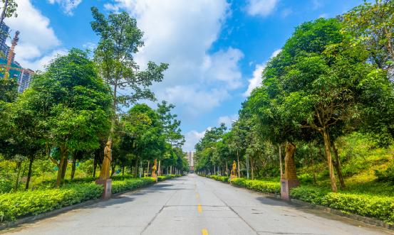 社区卫生信息化行业报告 社区卫生信息化行业产业链全景分析