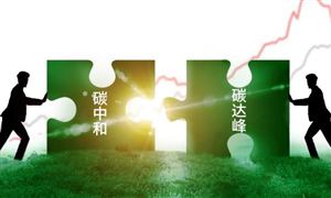 2024数字碳中和行业未来发展趋势及投资前景预测 微信支付用户23年减少碳排放1881.5 万吨