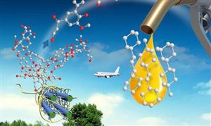 2024航空生物燃油行业深度分析及发展策略研究 国产商用飞机完成首次加注生物航空燃油飞行