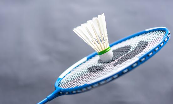 羽毛球行业发展现状及市场规模、未来趋势分析2024