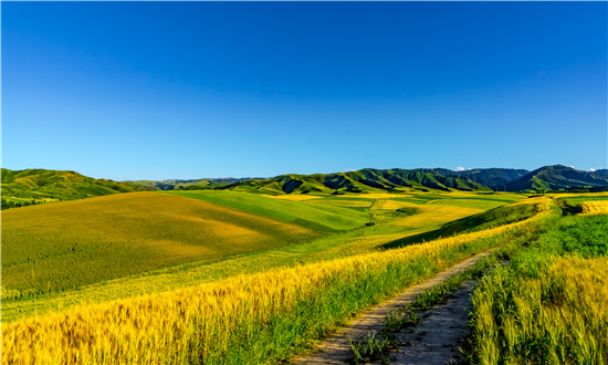 2024年休闲农业与乡村旅游行业市场发展现状及未来发展前景趋势分析