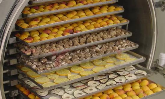 食品冻干机行业投资分析：预计到2029年将达到1023.46亿元