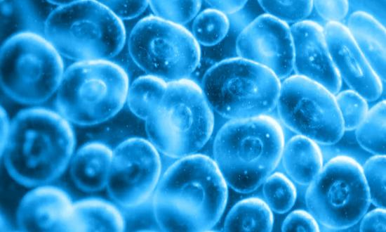 2024年中国医疗信息化市场规模、竞争格局及未来发展趋势分析